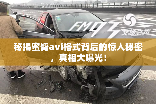 秘揭蜜臀avi格式背后的惊人秘密，真相大曝光！