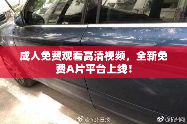 成人免费观看高清视频，全新免费A片平台上线！
