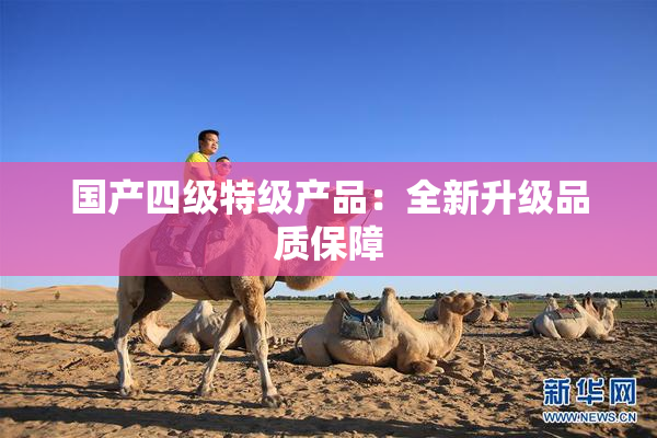国产四级特级产品：全新升级品质保障