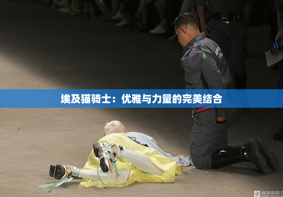 埃及猫骑士：优雅与力量的完美结合