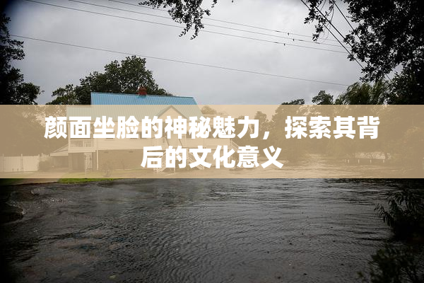颜面坐脸的神秘魅力，探索其背后的文化意义