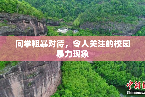 同学粗暴对待，令人关注的校园暴力现象