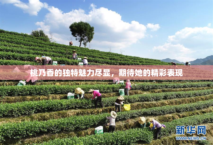 桃乃香的独特魅力尽显，期待她的精彩表现