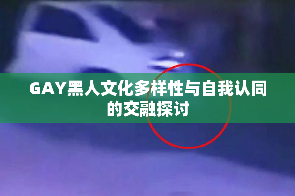 GAY黑人文化多样性与自我认同的交融探讨