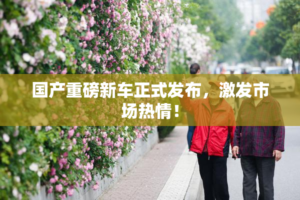 国产重磅新车正式发布，激发市场热情！
