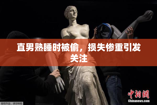 直男熟睡时被偷，损失惨重引发关注