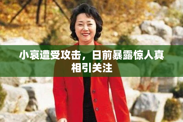 小哀遭受攻击，日前暴露惊人真相引关注