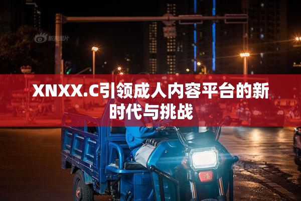 XNXX.C引领成人内容平台的新时代与挑战