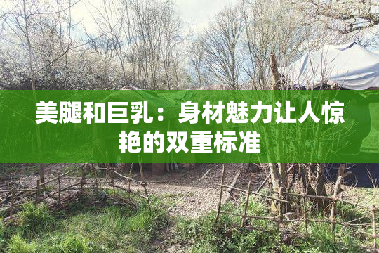 美腿和巨乳：身材魅力让人惊艳的双重标准