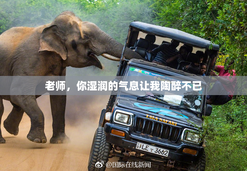 老师，你湿润的气息让我陶醉不已