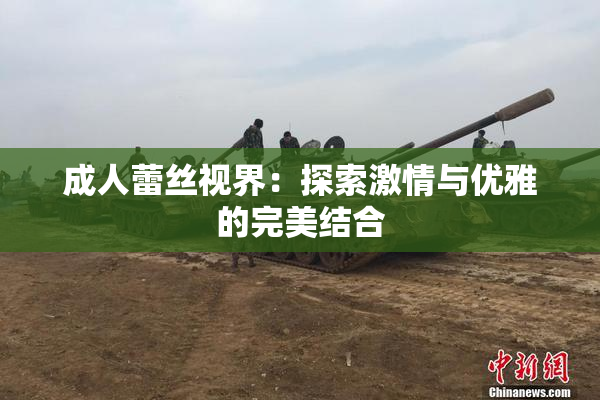 成人蕾丝视界：探索激情与优雅的完美结合