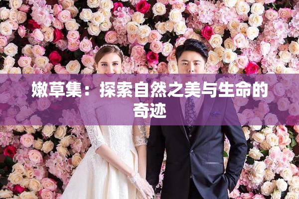 嫩草集：探索自然之美与生命的奇迹