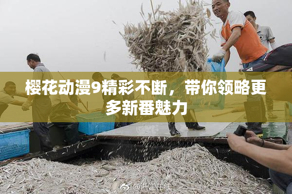 樱花动漫9精彩不断，带你领略更多新番魅力