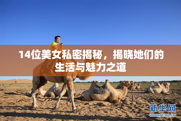 14位美女私密揭秘，揭晓她们的生活与魅力之道