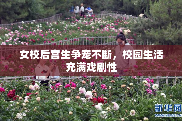 女校后宫生争宠不断，校园生活充满戏剧性
