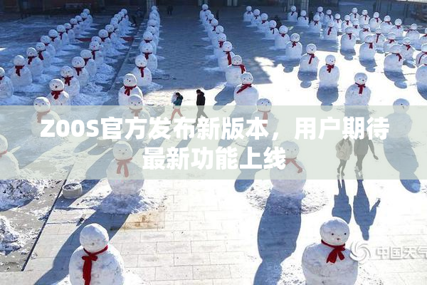 Z00S官方发布新版本，用户期待最新功能上线