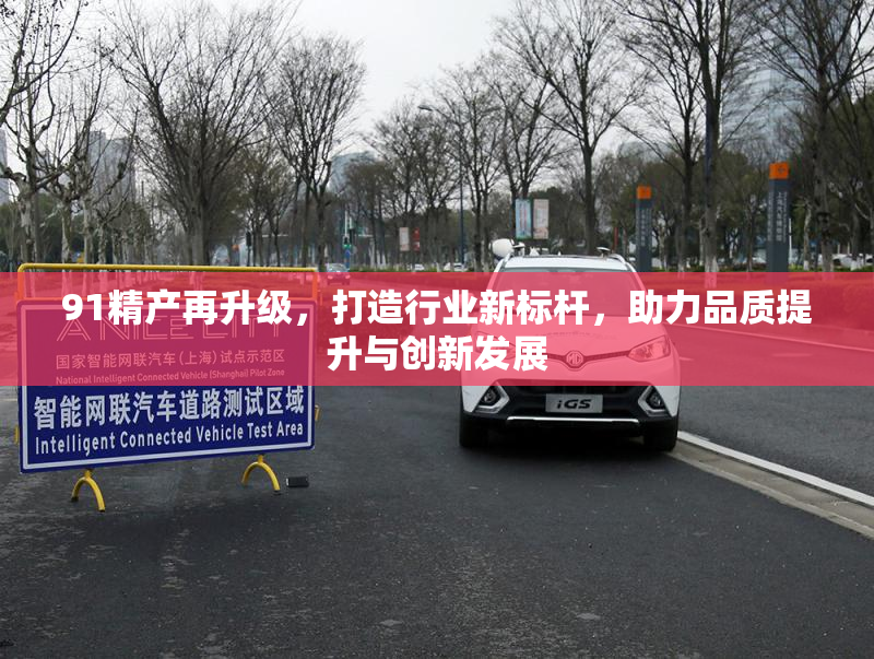 91精产再升级，打造行业新标杆，助力品质提升与创新发展
