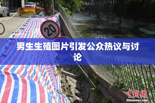 男生生殖图片引发公众热议与讨论