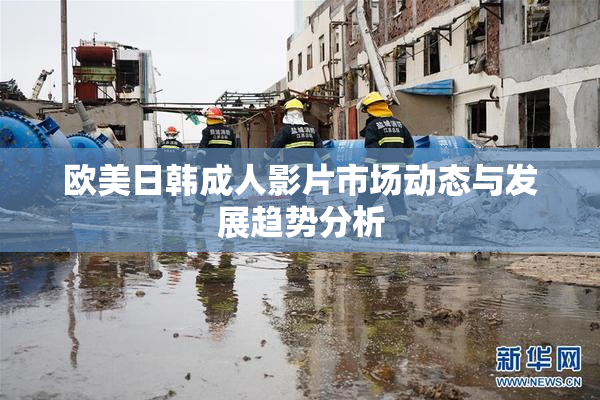 欧美日韩成人影片市场动态与发展趋势分析