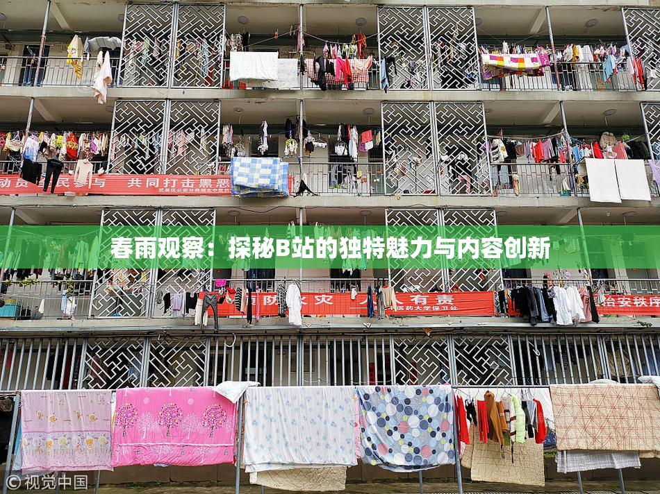 春雨观察：探秘B站的独特魅力与内容创新