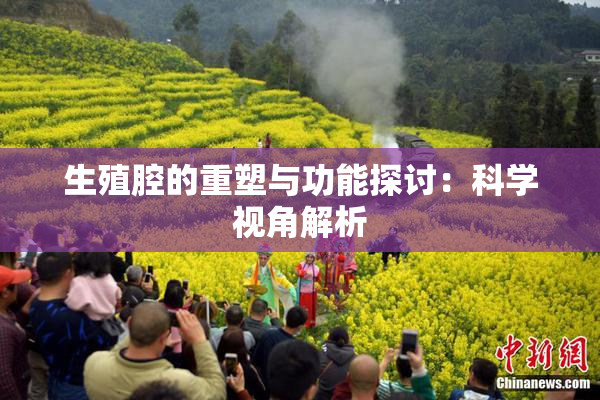 生殖腔的重塑与功能探讨：科学视角解析