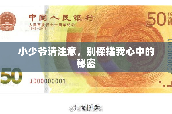 小少爷请注意，别揉搓我心中的秘密