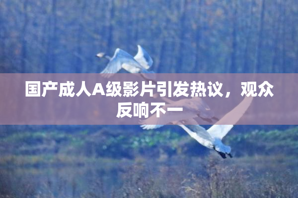 国产成人A级影片引发热议，观众反响不一