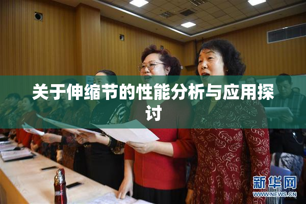 关于伸缩节的性能分析与应用探讨