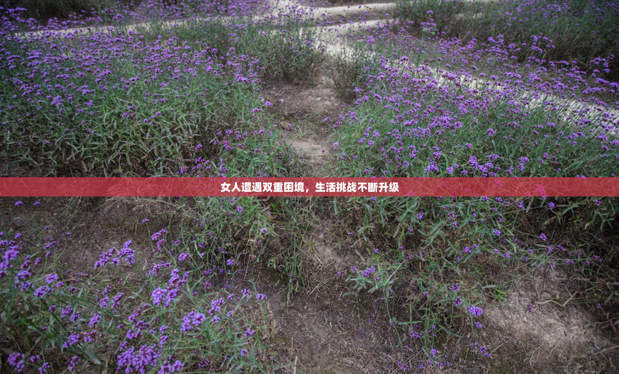 女人遭遇双重困境，生活挑战不断升级