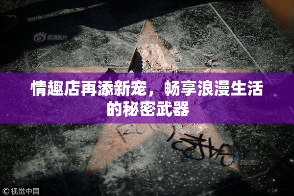 情趣店再添新宠，畅享浪漫生活的秘密武器