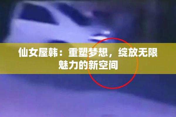 仙女屋韩：重塑梦想，绽放无限魅力的新空间
