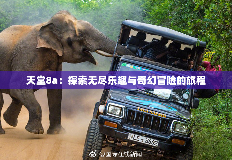 天堂8a：探索无尽乐趣与奇幻冒险的旅程