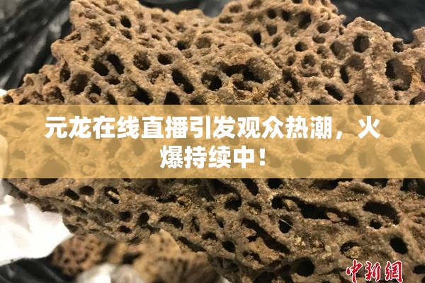 元龙在线直播引发观众热潮，火爆持续中！