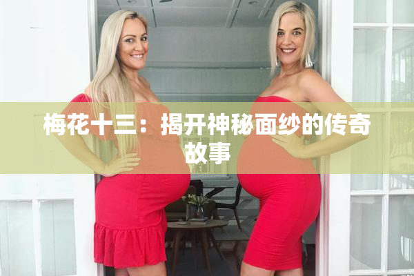 梅花十三：揭开神秘面纱的传奇故事