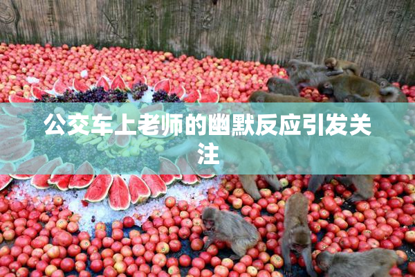 公交车上老师的幽默反应引发关注