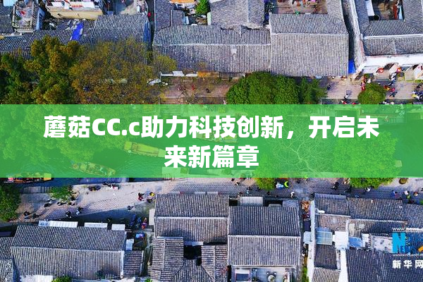 蘑菇CC.c助力科技创新，开启未来新篇章