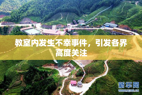 教室内发生不幸事件，引发各界高度关注