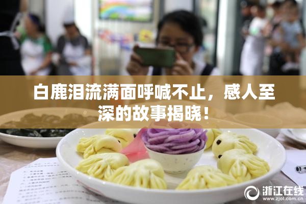 白鹿泪流满面呼喊不止，感人至深的故事揭晓！