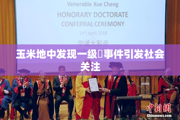 玉米地中发现一级婬事件引发社会关注
