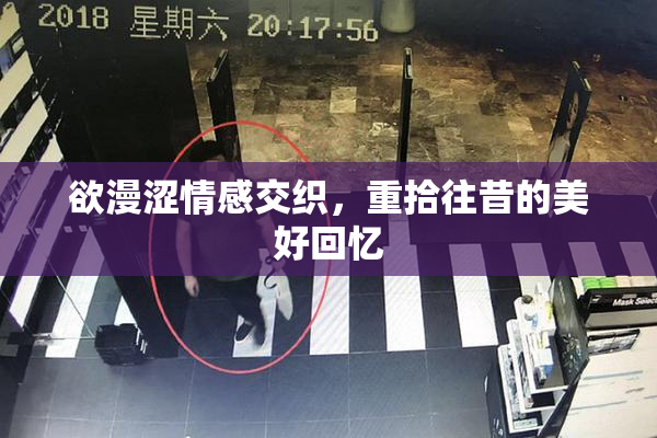 欲漫涩情感交织，重拾往昔的美好回忆