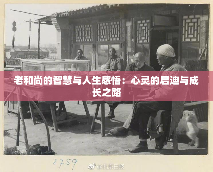 老和尚的智慧与人生感悟：心灵的启迪与成长之路