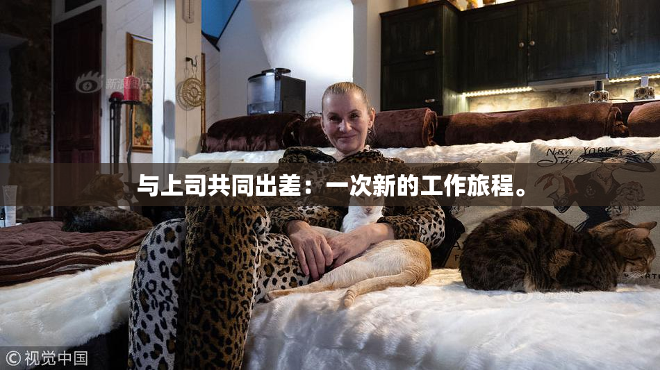 与上司共同出差：一次新的工作旅程。