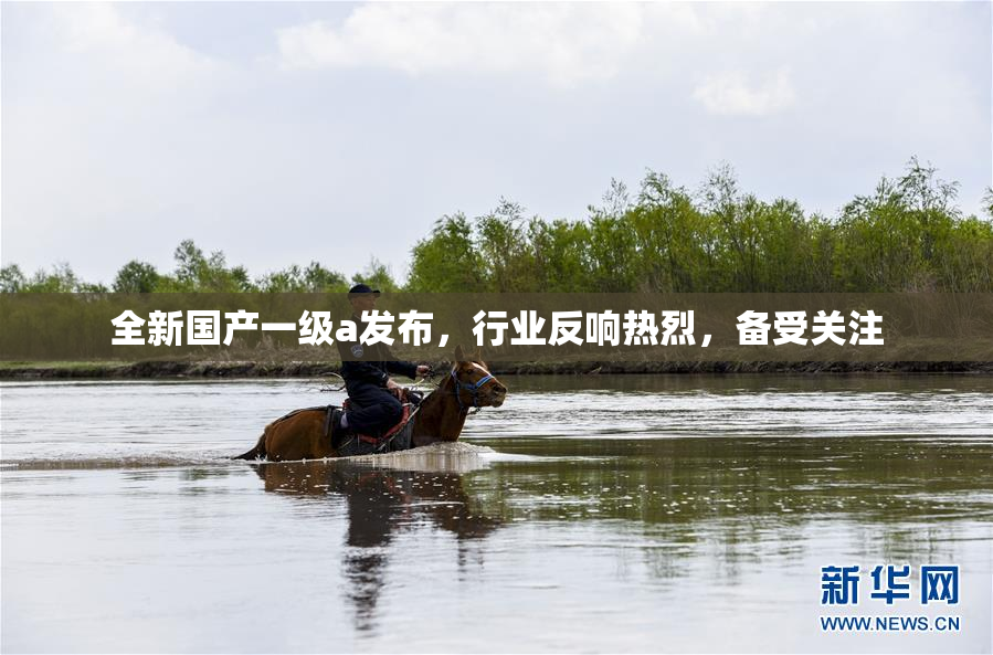 全新国产一级a发布，行业反响热烈，备受关注