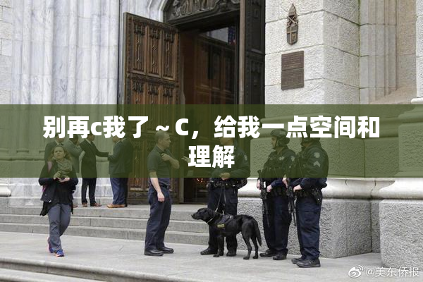 别再c我了～C，给我一点空间和理解