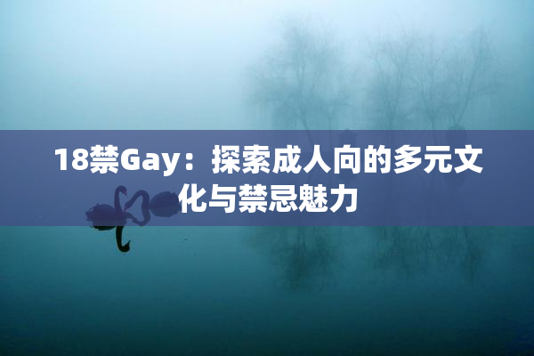 18禁Gay：探索成人向的多元文化与禁忌魅力