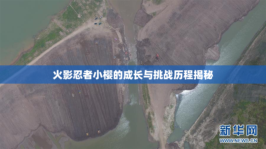火影忍者小樱的成长与挑战历程揭秘