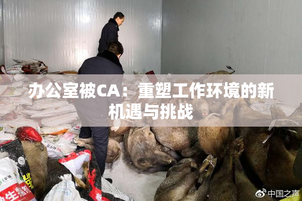 办公室被CA：重塑工作环境的新机遇与挑战