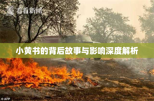 小黄书的背后故事与影响深度解析