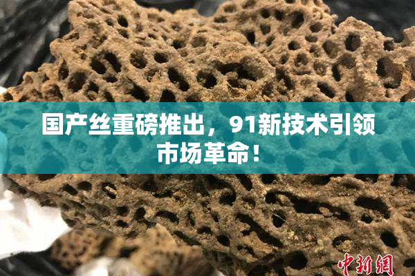 国产丝重磅推出，91新技术引领市场革命！