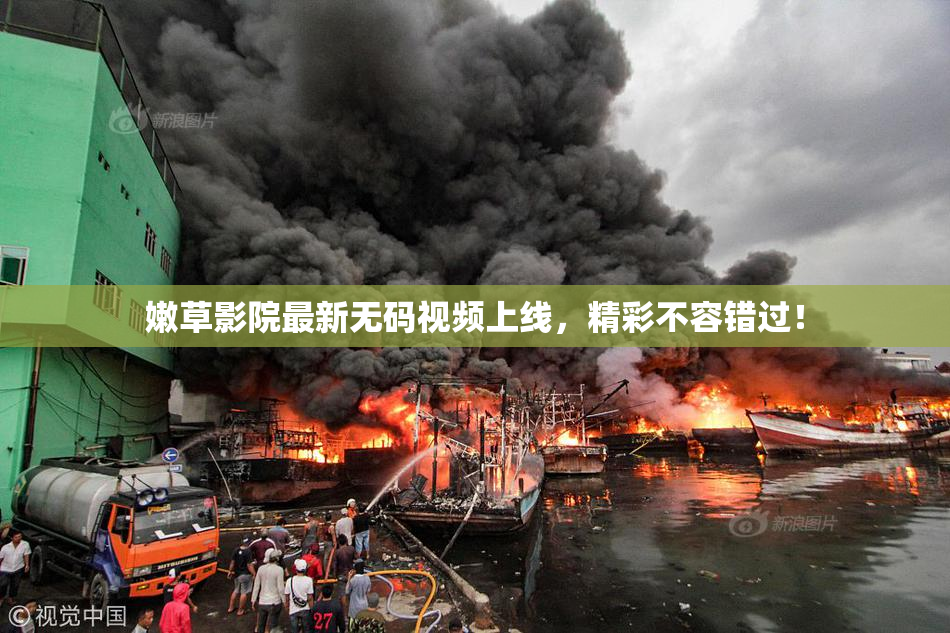 嫩草影院最新无码视频上线，精彩不容错过！